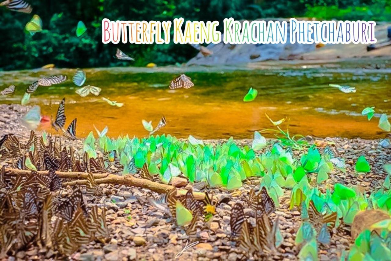 Baan Rai Pray Rung Kaeng Krachan Ban Tha Ling Lom Exterior photo